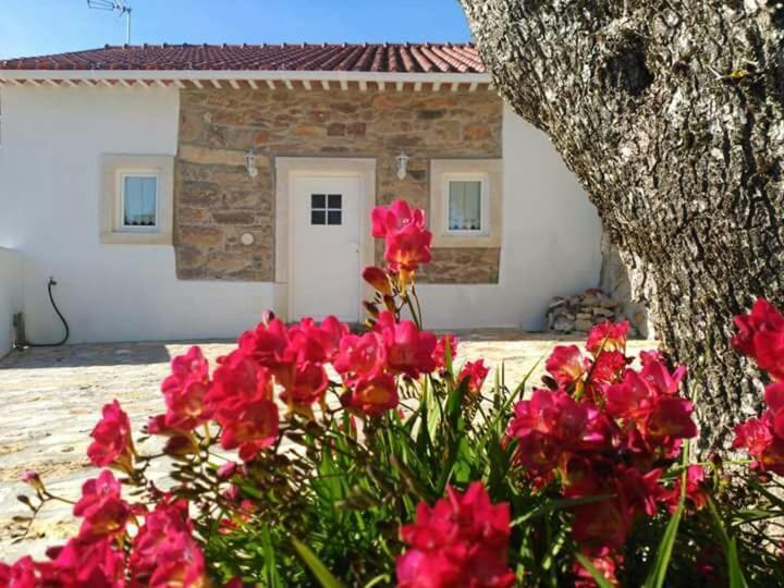 Villa Casa Da Figueirinha Casais dos Monizes Exterior foto